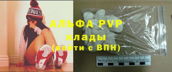 прущие грибы Балабаново
