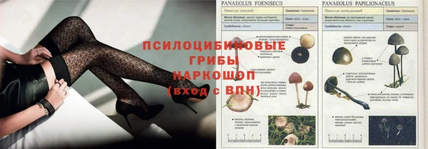 прущие грибы Балабаново