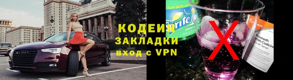 прущие грибы Балабаново