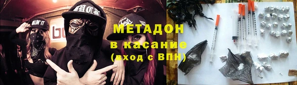 прущие грибы Балабаново