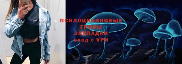 прущие грибы Балабаново