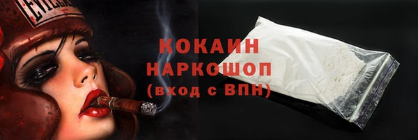 прущие грибы Балабаново