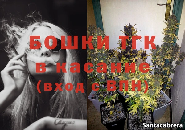 сатива Баксан