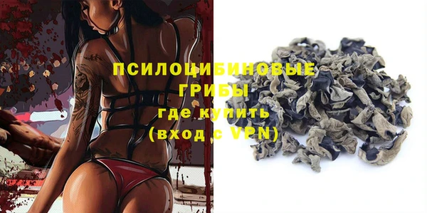прущие грибы Балабаново