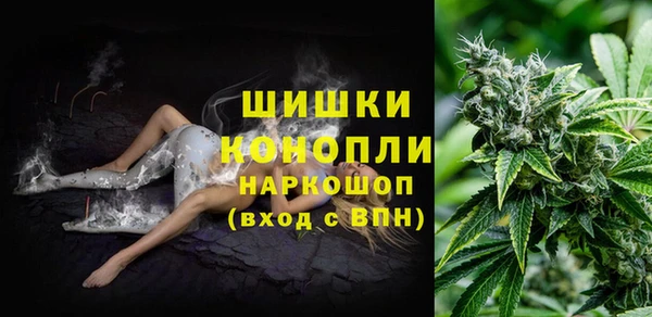 прущие грибы Балабаново