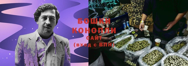 сатива Баксан