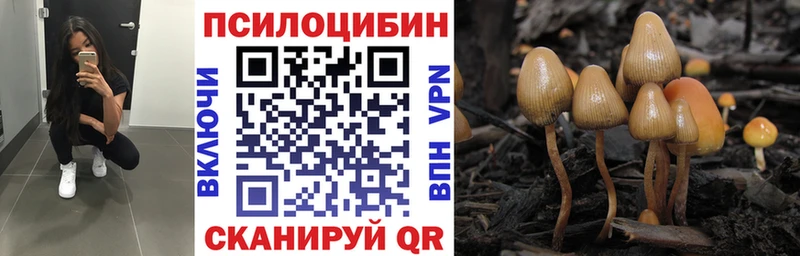 где купить Разумное Галлюциногенные грибы Cubensis